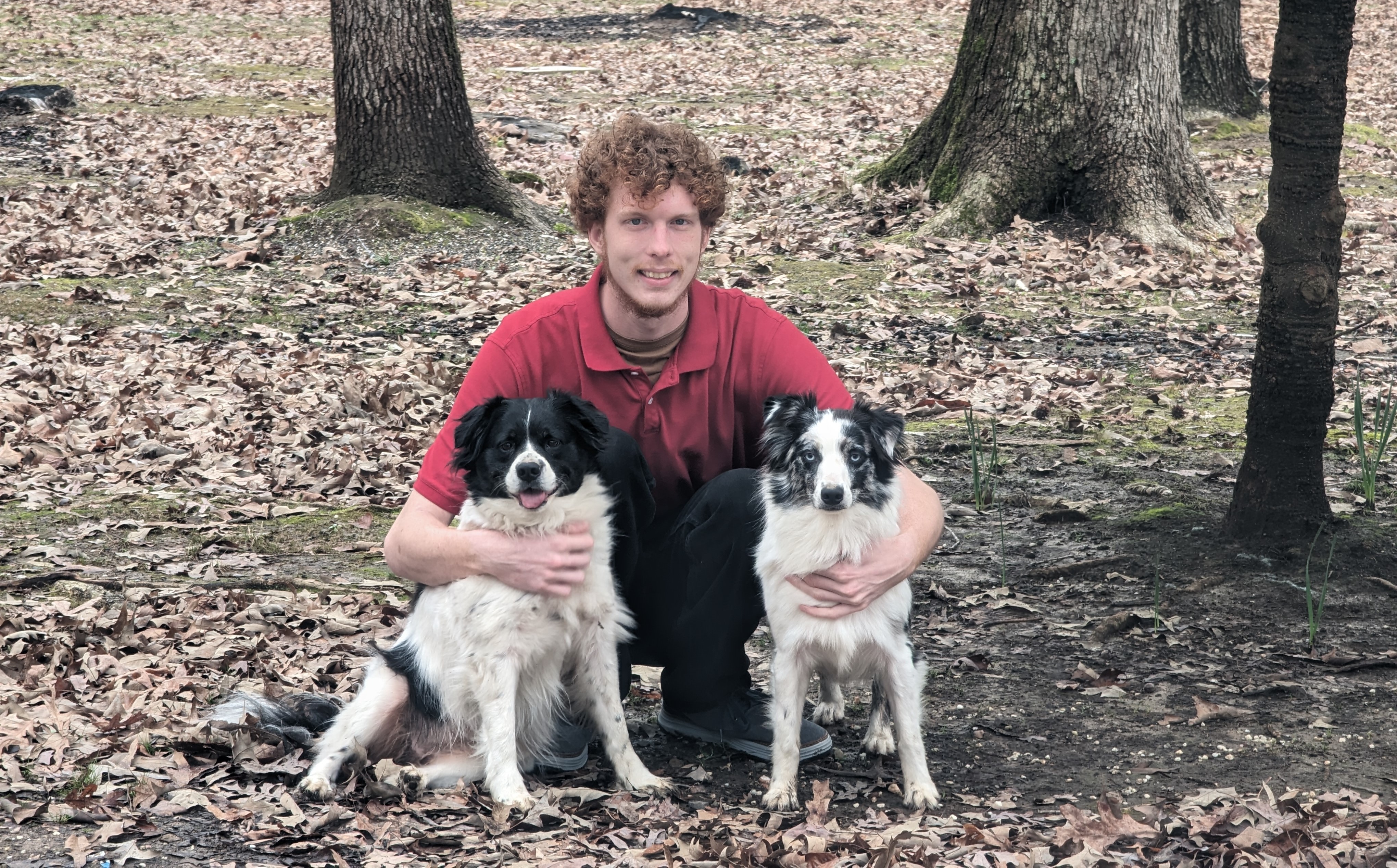 The owner with his two black and white dogs