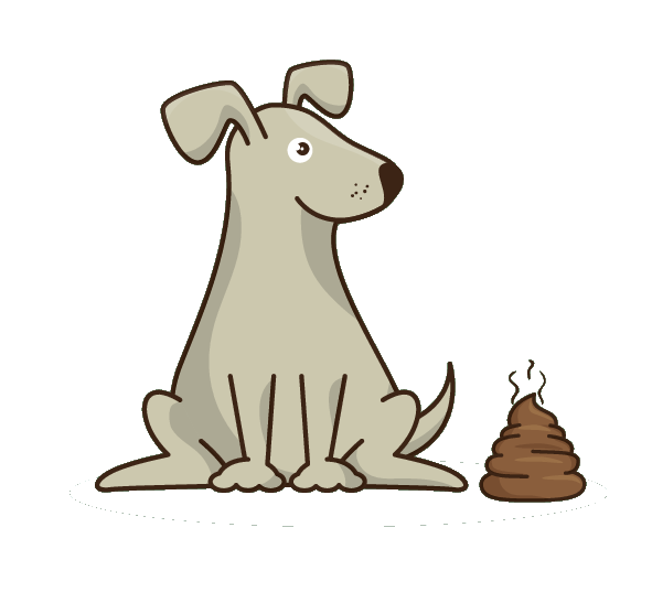 A dog with poop.