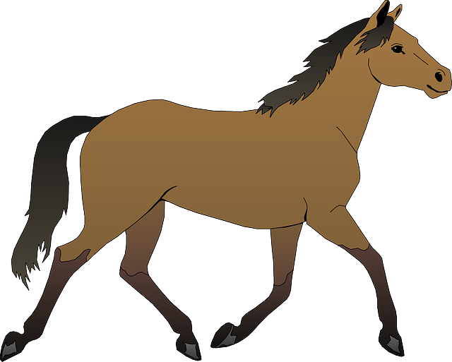 a drawn horse.